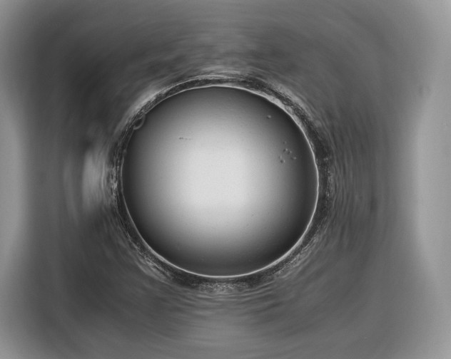X0000116371355200912091229