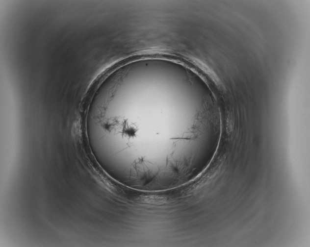 X0000116371356200912091229