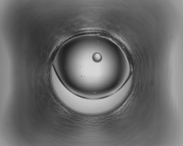 X0000116371357200912091229