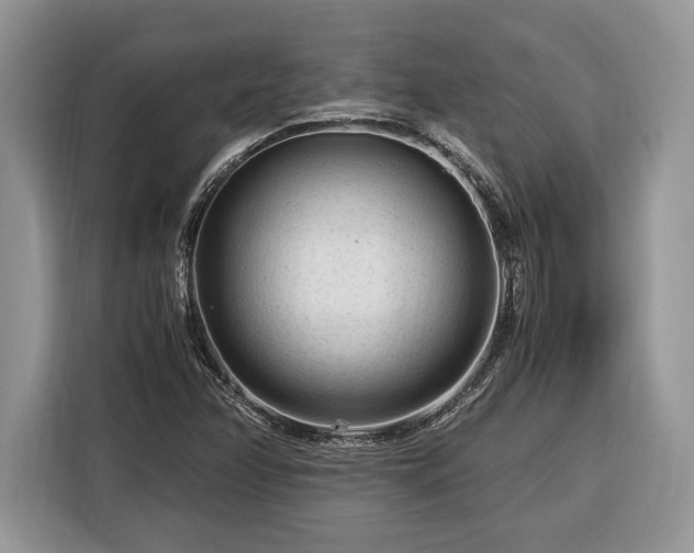 X0000116371358200912091229