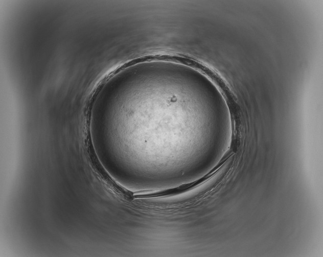 X0000116371359200912091229