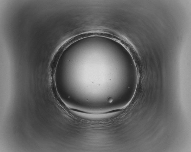 X0000116371360200912091229