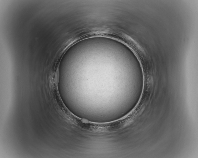 X0000116371361200912091229