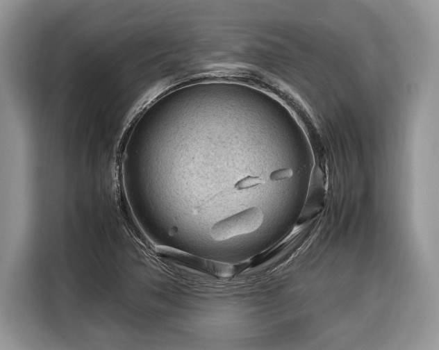 X0000116371362200912091229