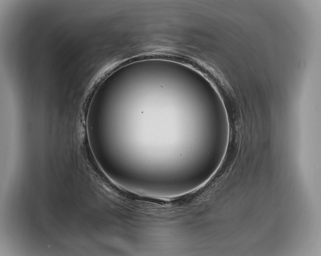 X0000116371363200912091229
