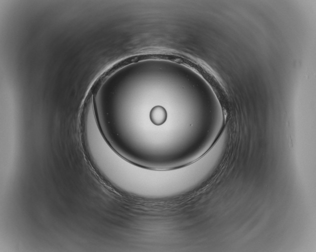 X0000116371364200912091229