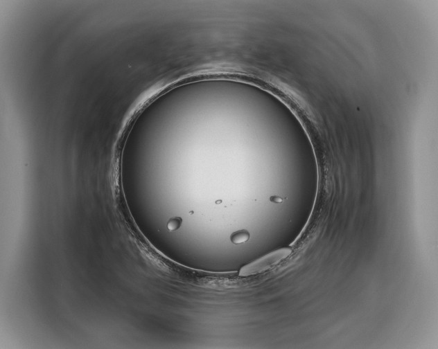 X0000116371366200912091229