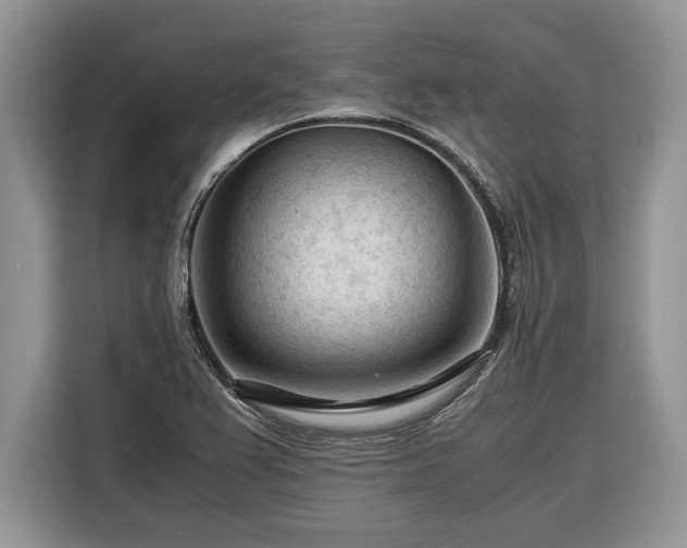 X0000116371367200912091229