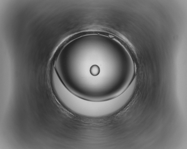 X0000116371368200912091229