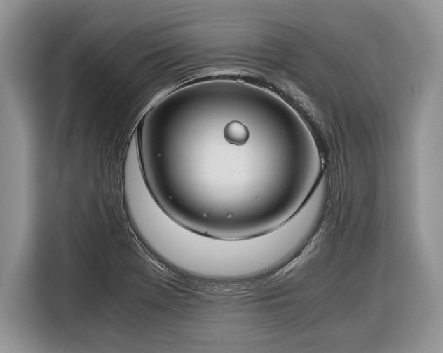 X0000116371369200912091229