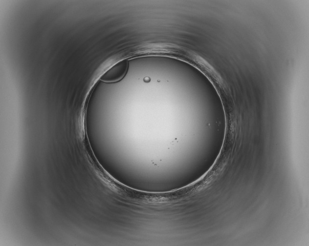 X0000116371370200912091229