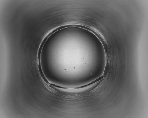 X0000116371372200912091229