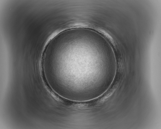 X0000116371373200912091229