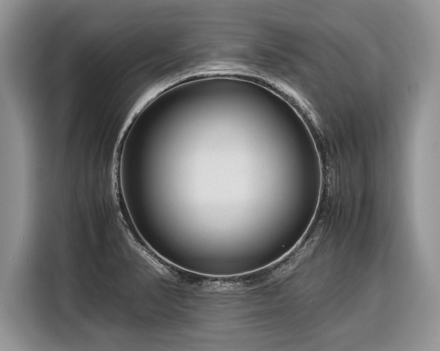 X0000116371374200912091229