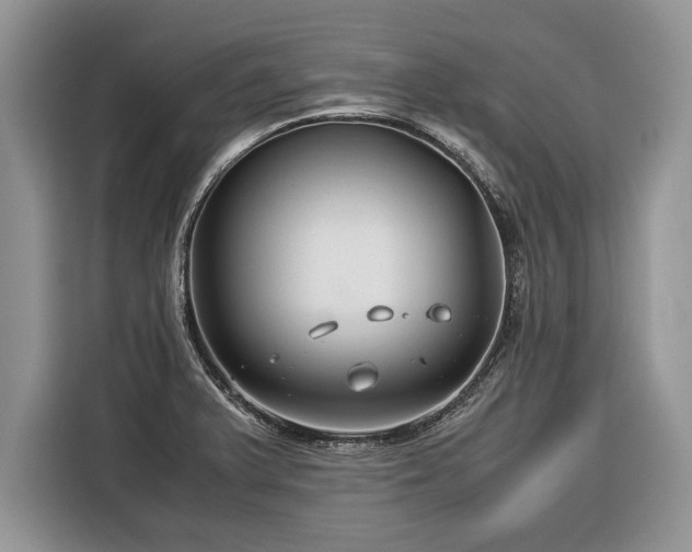 X0000116371375200912091229