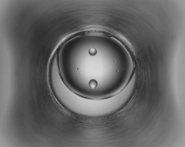 X0000116371376200912091229