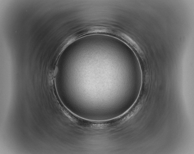 X0000116371377200912091229