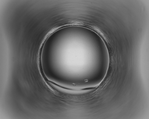 X0000116371379200912091229