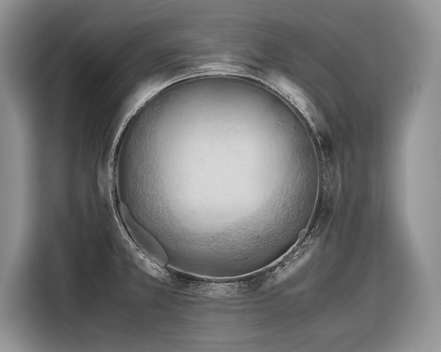 X0000116371381200912091229