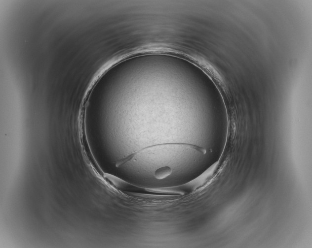 X0000116371382200912091229