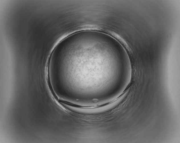 X0000116371383200912091229