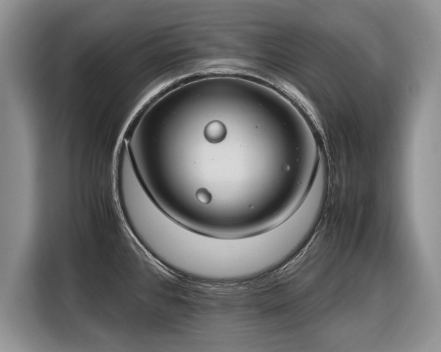 X0000116371384200912091229