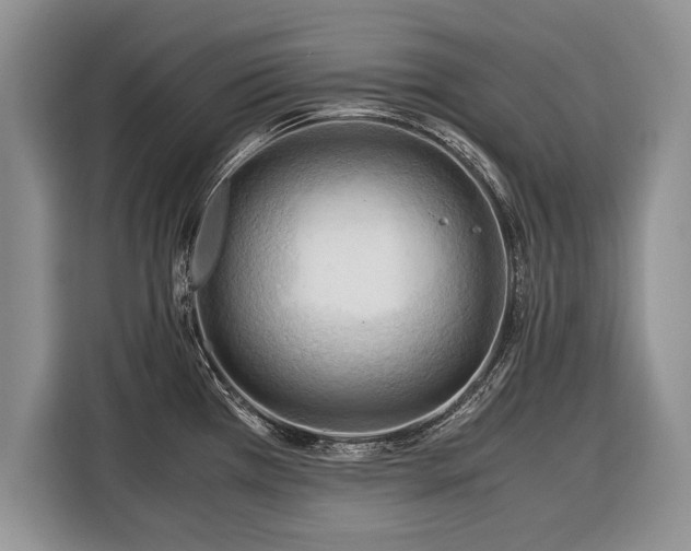X0000116371385200912091229