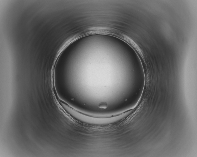 X0000116371386200912091229