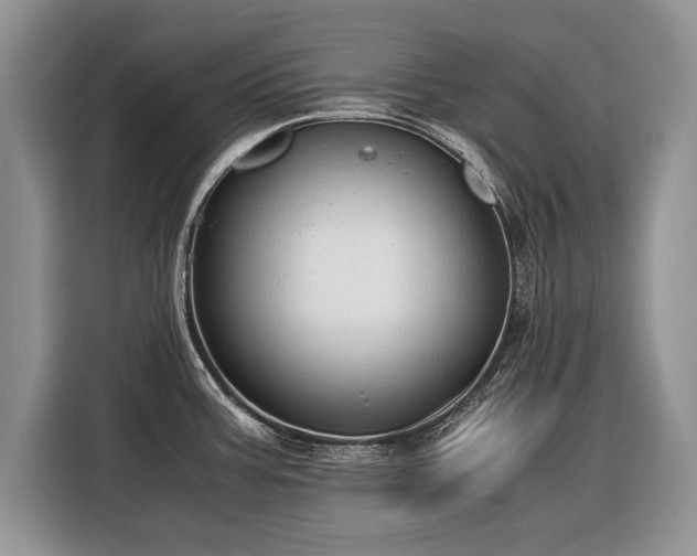 X0000116371387200912091229