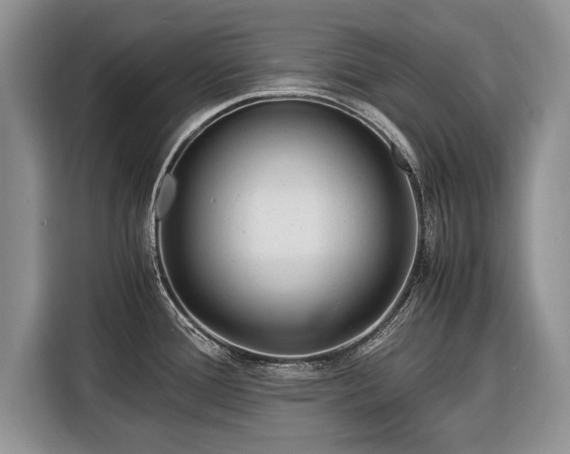 X0000116371388200912091229