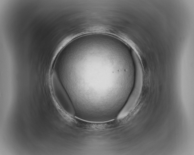 X0000116371389200912091229