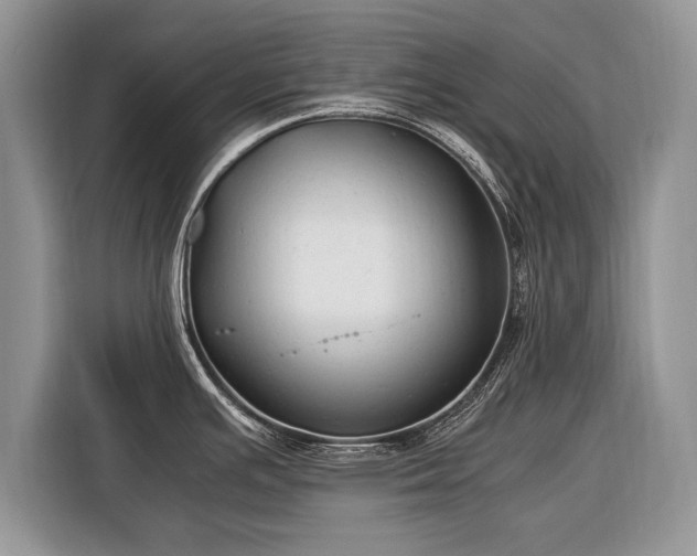 X0000116371391200912091229