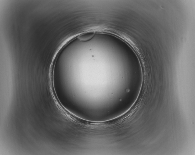 X0000116371392200912091229