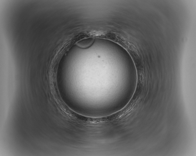 X0000116371393200912091228