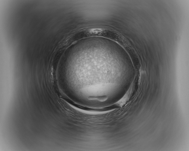 X0000116371394200912091228