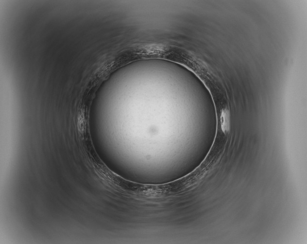 X0000116371395200912091228