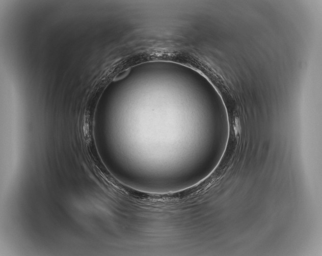 X0000116371396200912091228
