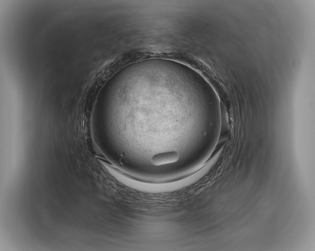 X0000116371398200912091228