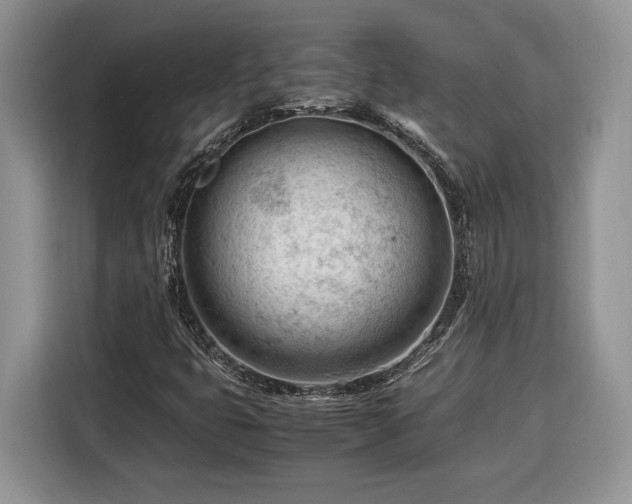 X0000116371399200912091228