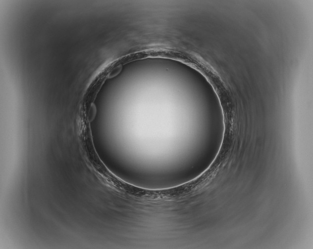 X0000116371400200912091228