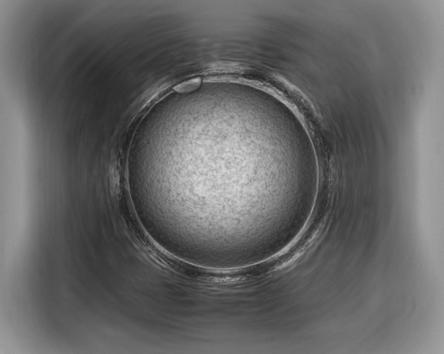 X0000116371401200912091228