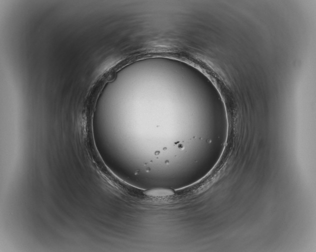 X0000116371402200912091228