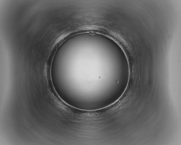 X0000116371404200912091228