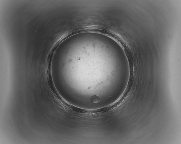 X0000116371405200912091228