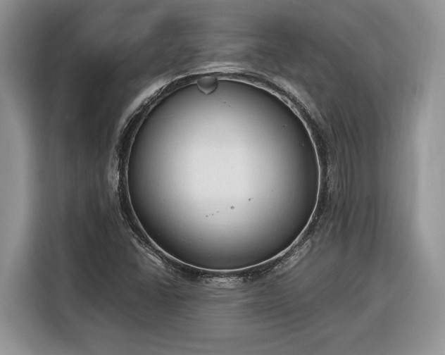 X0000116371406200912091228