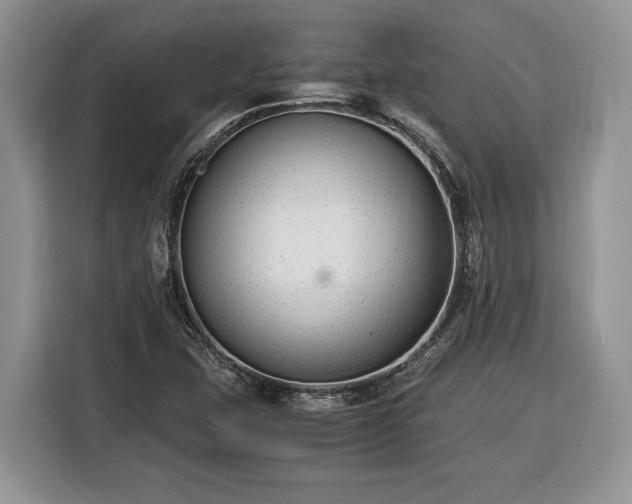 X0000116371407200912091228