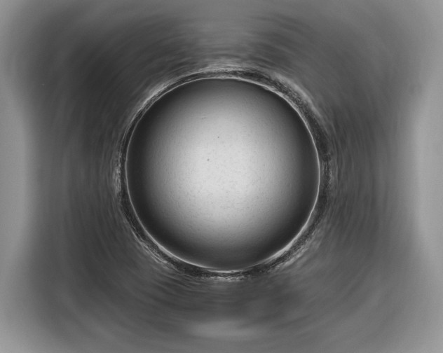 X0000116371409200912091228