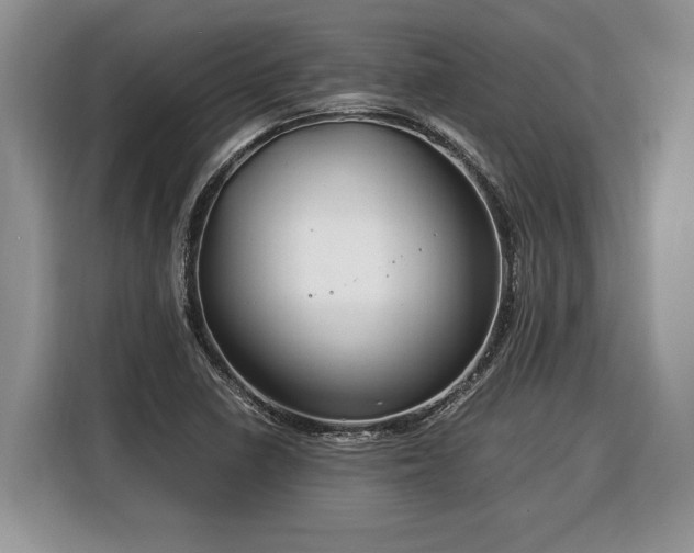 X0000116371410200912091228