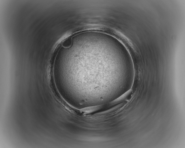 X0000116371411200912091228