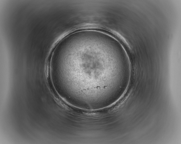 X0000116371413200912091228